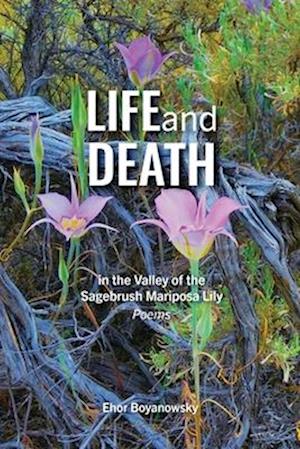 Life and Death in the Valley of the Sagebrush Mariposa Lily