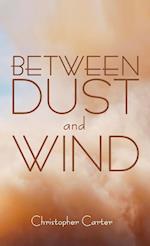 Between Dust and Wind