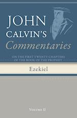 Commentaries on the First Twenty Chapters of the Book of the Prophet Ezekiel, Volume 2