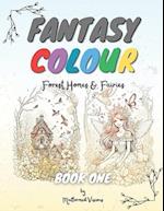 FANTASY COLOUR: BOOK 1 - Forest Homes & Fairies 