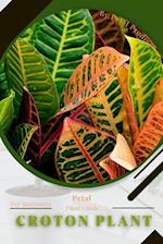 Croton plant: Prodigy Petal, Plant Guide 