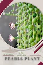 Pearls Plant: Prodigy Petal, Plant Guide 