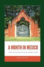 A Month In Mexico: Tales of work and travel in another world 