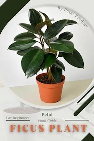 Ficus Plant: Prodigy Petal, Plant Guide