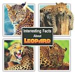 Interesting Facts About Leopard 