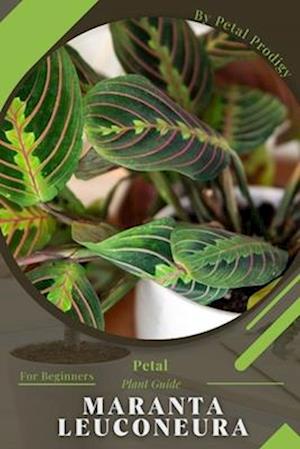 Maranta leuconeura: Prodigy Petal, Plant Guide