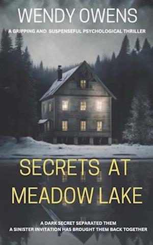 Secrets At Meadow Lake: A gripping and suspenseful psychological thriller