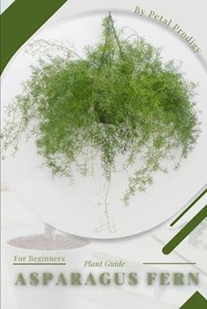 Asparagus Fern: Prodigy Petal, Plant Guide