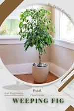 Weeping Fig: Prodigy Petal, Plant Guide 