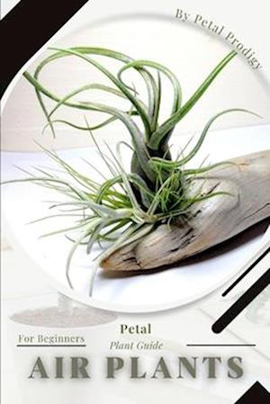 Air plants: Prodigy Petal, Plant Guide