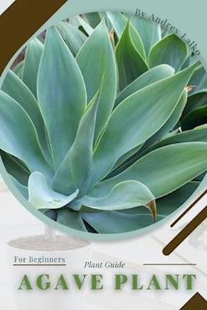 Agave Plant: Prodigy Petal, Plant Guide