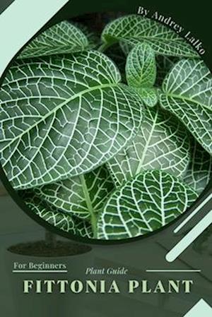 Fittonia Plant: Prodigy Petal, Plant Guide