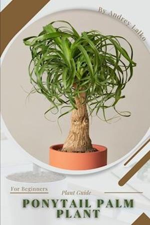 Ponytail Palm Plant: Prodigy Petal, Plant Guide