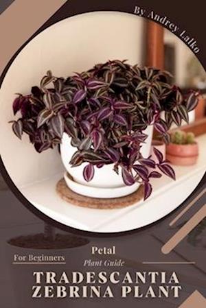 Tradescantia Zebrina Plant: Prodigy Petal, Plant Guide