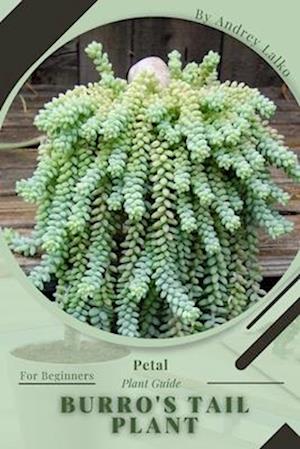 Burro's Tail Plant: Prodigy Petal, Plant Guide