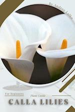 Calla Lilies: Prodigy Petal, Plant Guide 