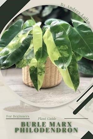 Burle Marx Philodendron: Prodigy Petal, Plant Guide