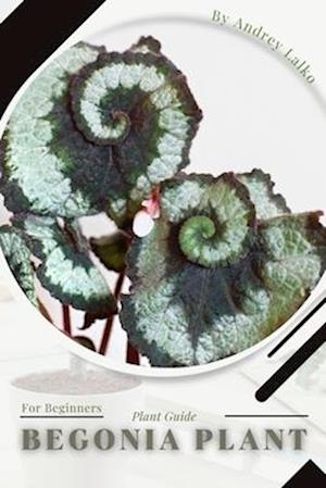 Begonia Plant: Prodigy Petal, Plant Guide