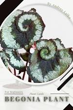 Begonia Plant: Prodigy Petal, Plant Guide 