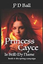 Princess Cayce is Still my Name: the spring campaign 