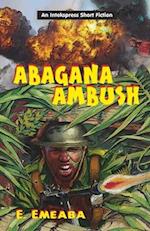 Abagana Ambush 
