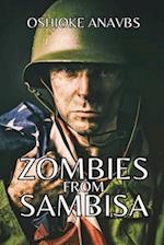 ZOMBIES FROM SAMBISA: The Story of finding Resilience, Adaptability and Order in Disorder 