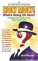 HOLY MOLY! What's Going On Here?: A Spiritualist Looks at the Meaning of Life 