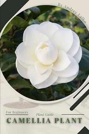 Camellia Plant: Plant Guide