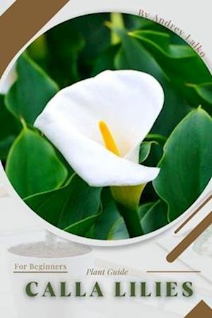 Calla lilies: Plant Guide