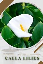 Calla lilies: Plant Guide 