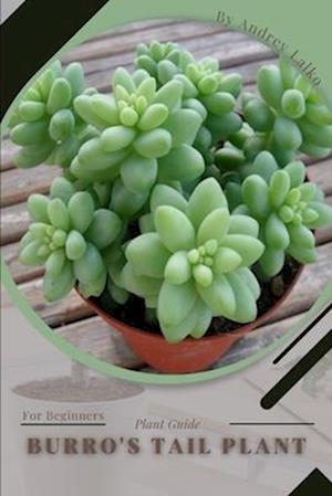 Burro's Tail: Plant Guide