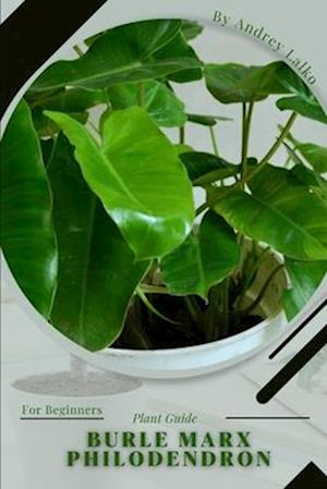 Burle Marx Philodendron: Plant Guide