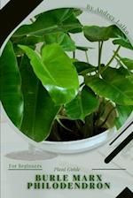 Burle Marx Philodendron: Plant Guide 