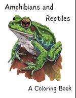 Amphibian and Reptile Coloring Book 