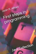 First steps in programming