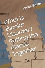 What is Bipolar Disorder? Putting the Pieces Together 