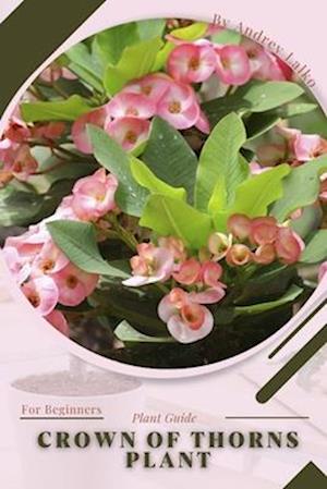 Crown of Thorns Plant: Plant Guide