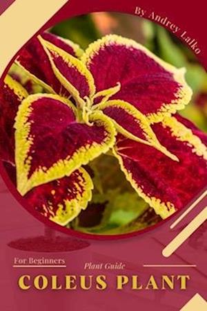 Coleus Plant: Plant Guide