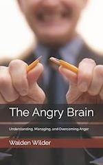 The Angry Brain: Understanding, Managing, and Overcoming Anger 