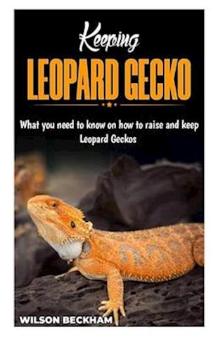 KEEPING LEOPARD GECKO: What You need to know on how to raise and keep Leopard Geckos