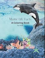 Marine Life Facts : A Coloring Book for Kids 