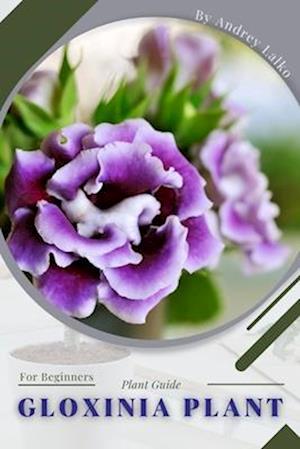 Gloxinia Plant: Plant Guide