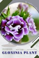 Gloxinia Plant: Plant Guide 