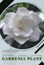 Gardenia Plant: Plant Guide 