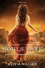 Souls Fate: Book Six of the Shadow & Shifter Series (A Young Adult Paranormal Romance) 