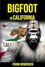 Bigfoot in California: Mysterious Encounters 