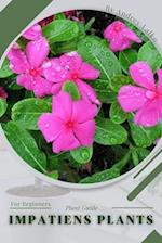 Impatiens Plants: Plant Guide 