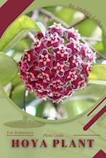 Hoya plant: Plant Guide 