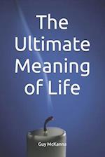 The Ultimate Meaning of Life: and answers to other really big questions 