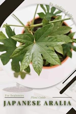 Japanese Aralia : Plant Guide